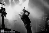 Tanzwut @Burgfolk 2015