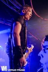 Nikolaut 2014 - Double Crush Syndrome