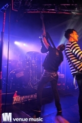 Nikolaut 2014 - Double Crush Syndrome