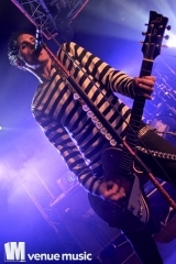 Nikolaut 2014 - Double Crush Syndrome