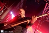 Nikolaut 2014 - Double Crush Syndrome