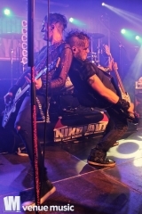 Nikolaut 2014 - Double Crush Syndrome