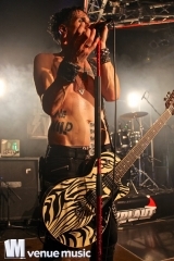 Nikolaut 2014 - Double Crush Syndrome