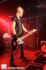 Nikolaut 2014 - Double Crush Syndrome