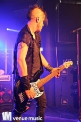 Nikolaut 2014 - Double Crush Syndrome