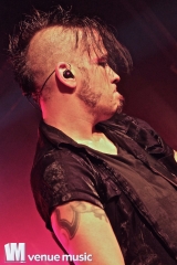 Nikolaut 2014 - Double Crush Syndrome