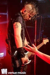 Nikolaut 2014 - Double Crush Syndrome