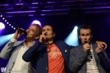Wise Guys @Tanzbrunnen 2015