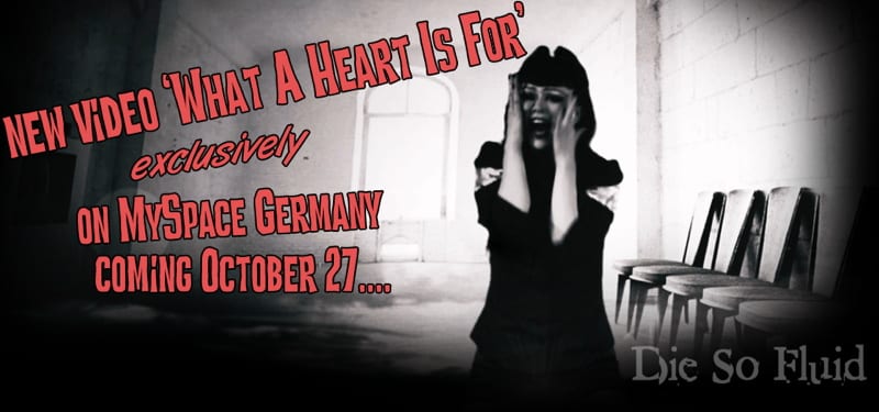 DSF myspace video banner