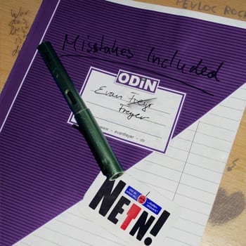 Cover: Evan Freyer - Mistakes Included 2011