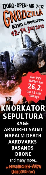 Dong Open Air 2012 - official Flyer