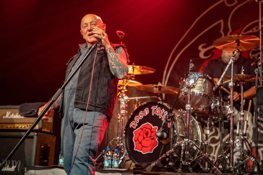 Rose_TattooRose_Tattoo_IMG_1945