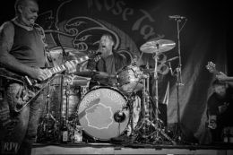 Rose_TattooRose_Tattoo_IMG_2032-2