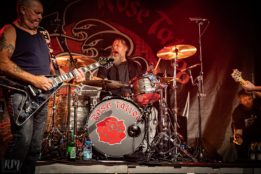 Rose_TattooRose_Tattoo_IMG_2032