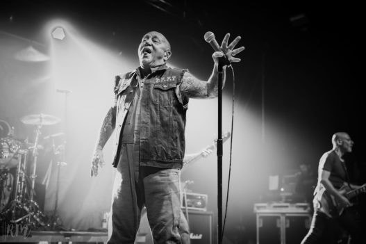 Rose_TattooRose_Tattoo_IMG_2049-3