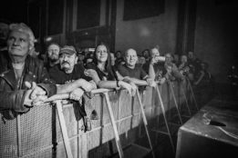 Rose_TattooRose_Tattoo_IMG_2071