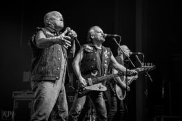 Rose_TattooRose_Tattoo_IMG_2083