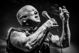 Rose_TattooRose_Tattoo_IMG_2111-2