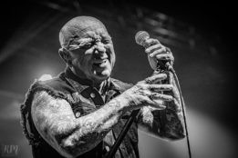 Rose_TattooRose_Tattoo_IMG_2112-2