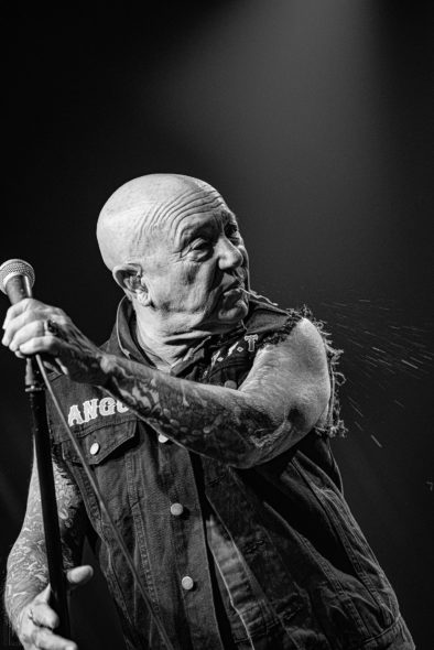 Rose_TattooRose_Tattoo_IMG_2123