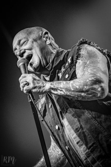 Rose_TattooRose_Tattoo_IMG_2125