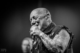 Rose_TattooRose_Tattoo_IMG_2141