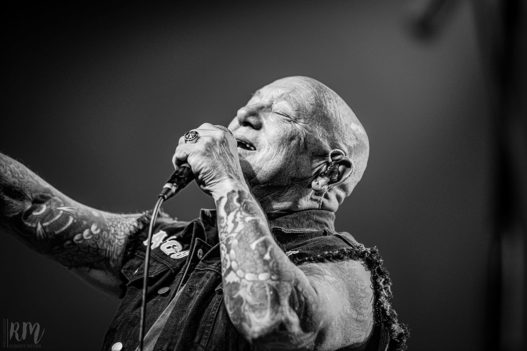 Rose_TattooRose_Tattoo_IMG_2148-2