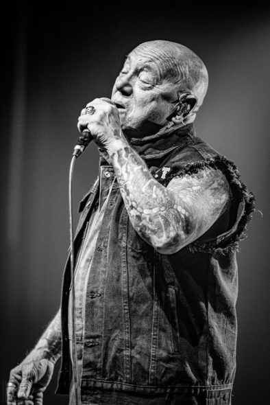 Rose_TattooRose_Tattoo_IMG_2154-2