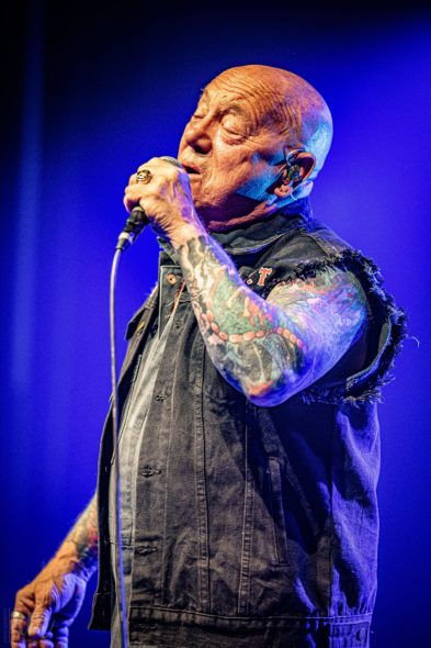 Rose_TattooRose_Tattoo_IMG_2154