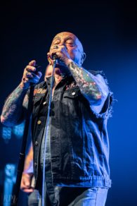 Rose_TattooRose_Tattoo_IMG_2156