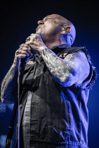 Rose_TattooRose_Tattoo_IMG_2160