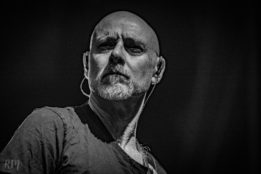 Rose_TattooRose_Tattoo_IMG_2173