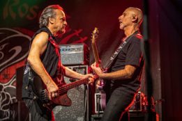 Rose_TattooRose_Tattoo_IMG_2262