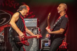 Rose_TattooRose_Tattoo_IMG_2264