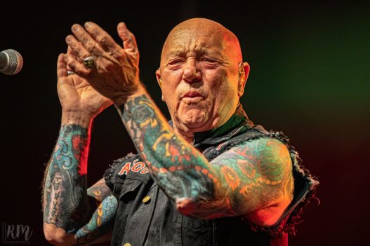 Rose_TattooRose_Tattoo_IMG_2286